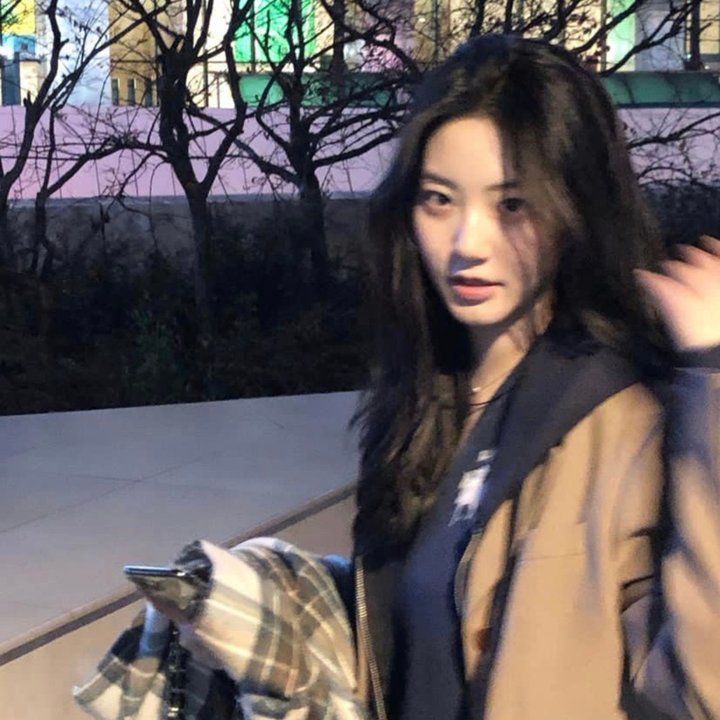 新蔷薇少女