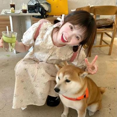 神勇飞虎霸王花